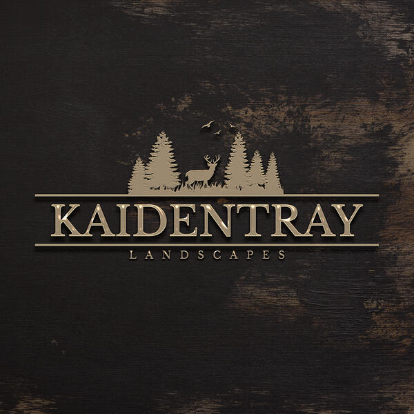 Kaiden Tray Landscapes